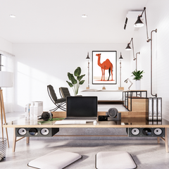 Desert Trekker