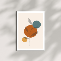 Seedling