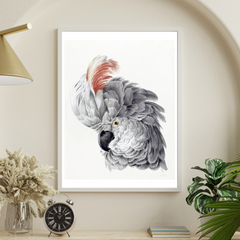 Crested Majesty