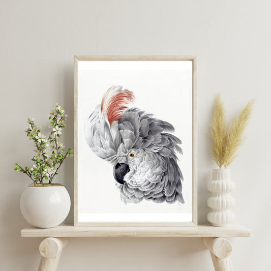 Crested Majesty