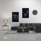 Nocturnal Majesty Set